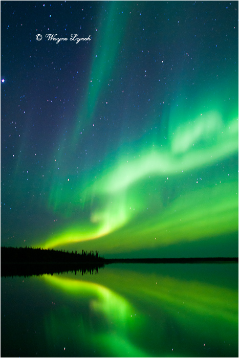 Aurora Borealis by Dr. Wayne Lynch &copy;